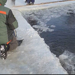 Экологическая экспертиза