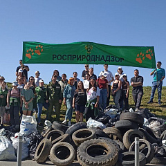 15 сентября во Владивостоке прошла экологическая акция «Чистый берег» под лозунгом «Экология — дело каждого». 